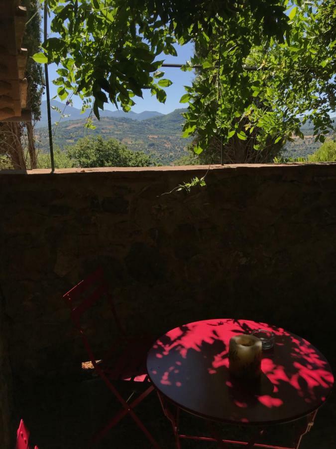 La Banditaccia Monticello Amiata Buitenkant foto