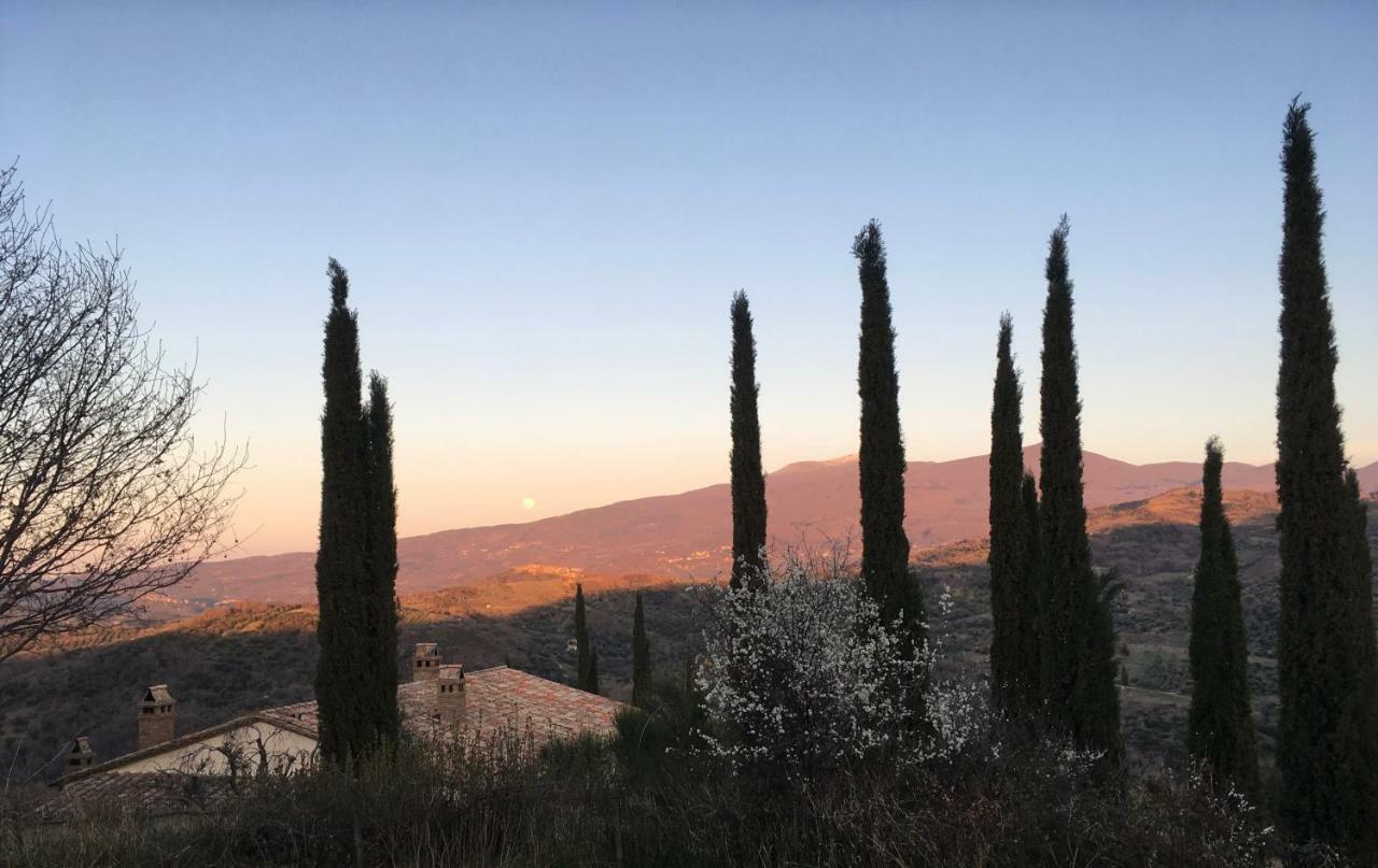La Banditaccia Monticello Amiata Buitenkant foto