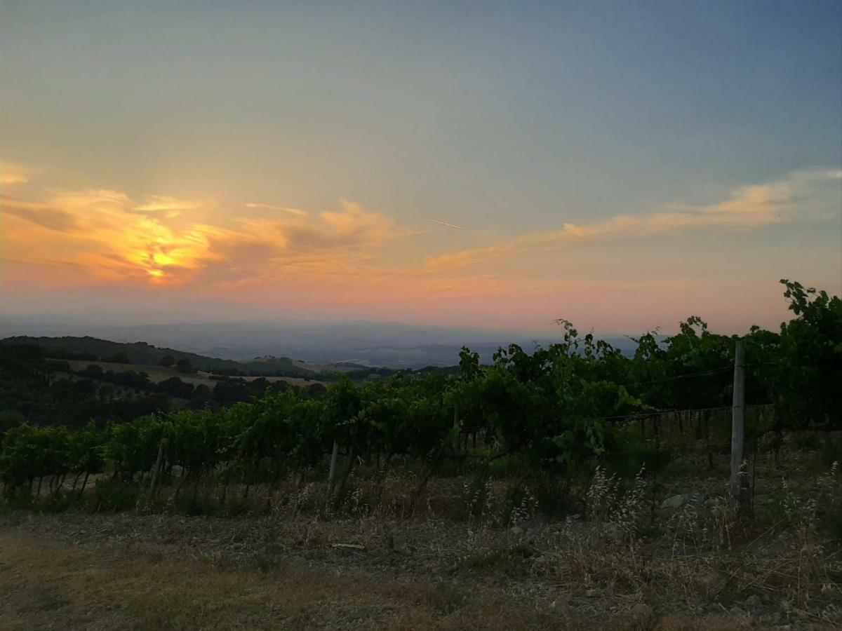 La Banditaccia Monticello Amiata Buitenkant foto