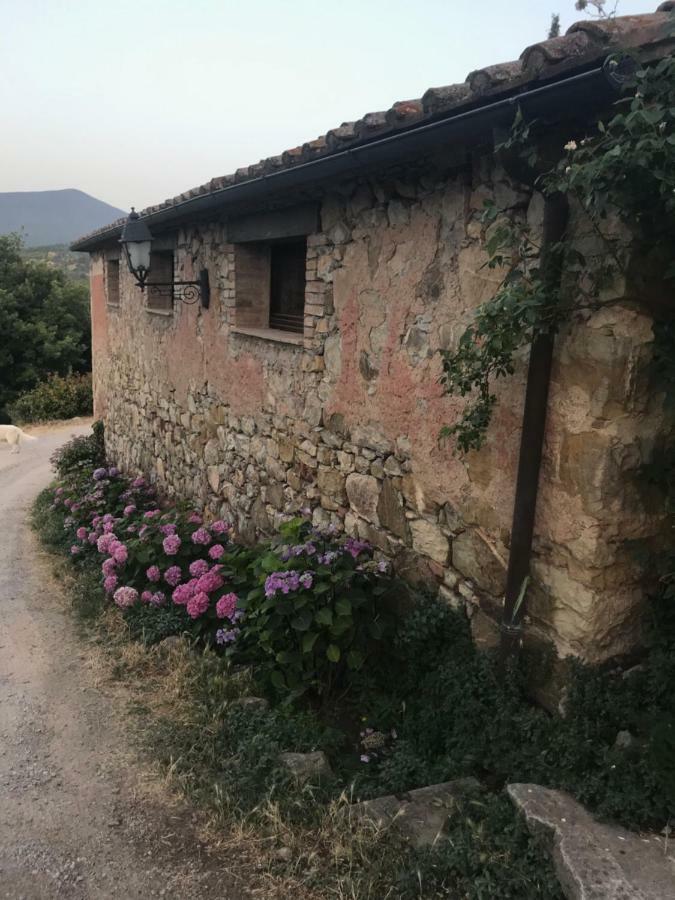 La Banditaccia Monticello Amiata Buitenkant foto