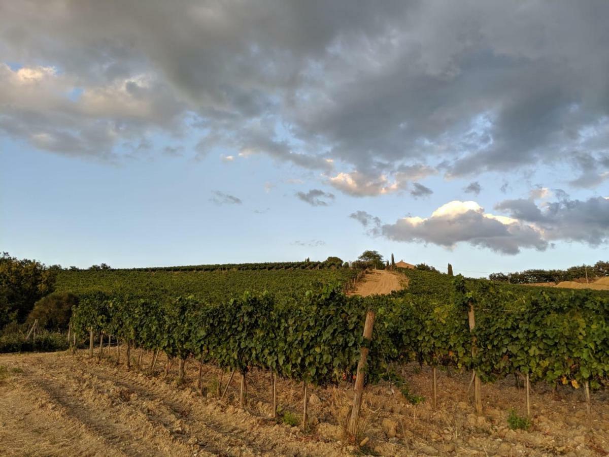 La Banditaccia Monticello Amiata Buitenkant foto