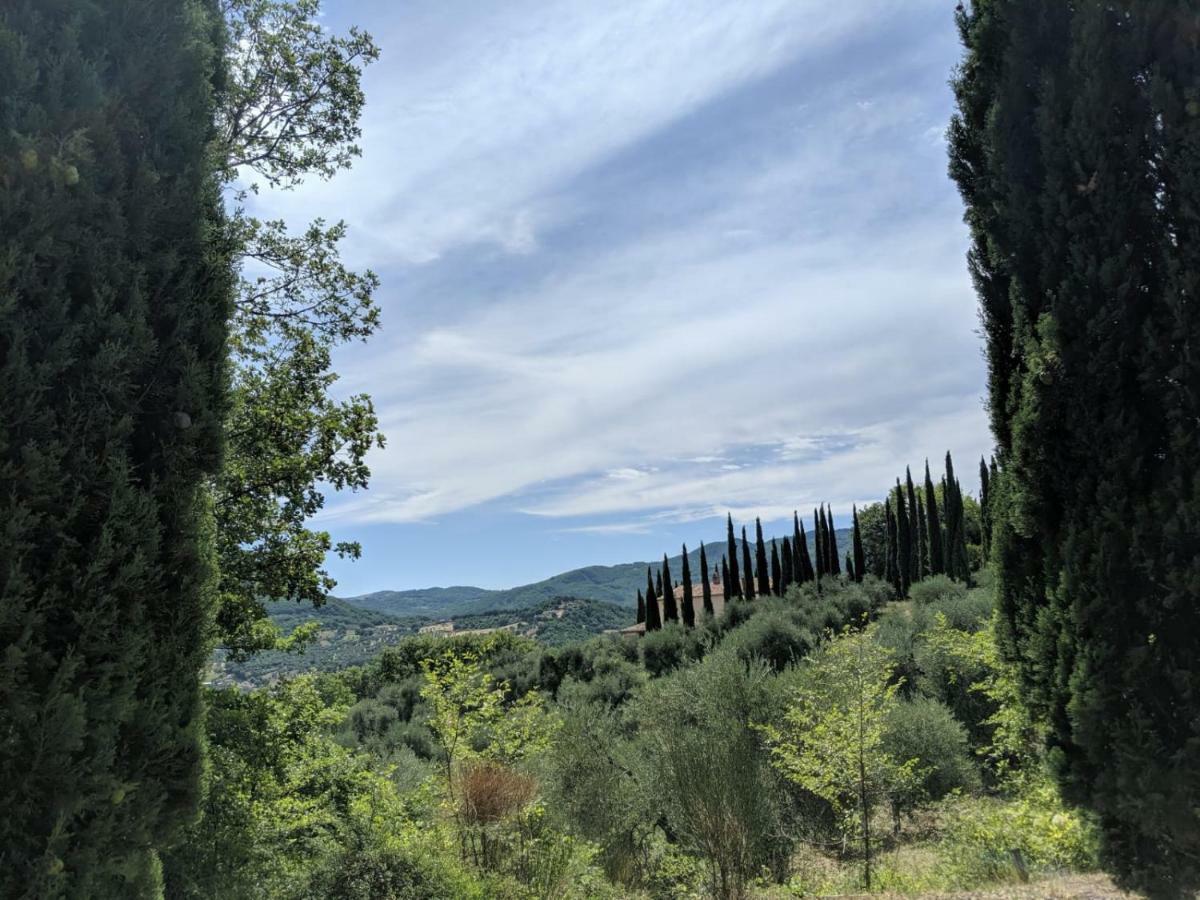 La Banditaccia Monticello Amiata Buitenkant foto
