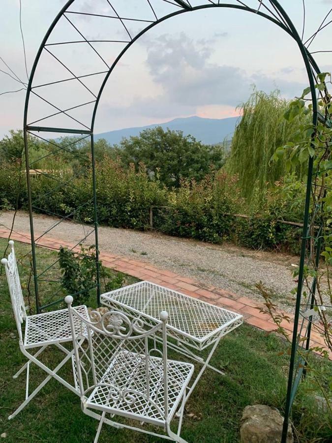 La Banditaccia Monticello Amiata Buitenkant foto