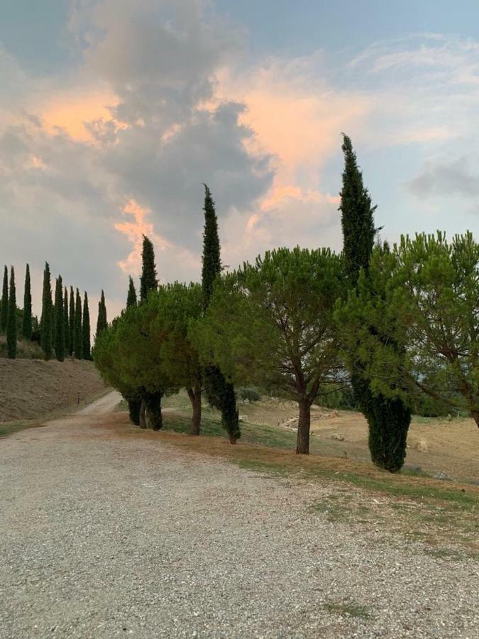 La Banditaccia Monticello Amiata Buitenkant foto